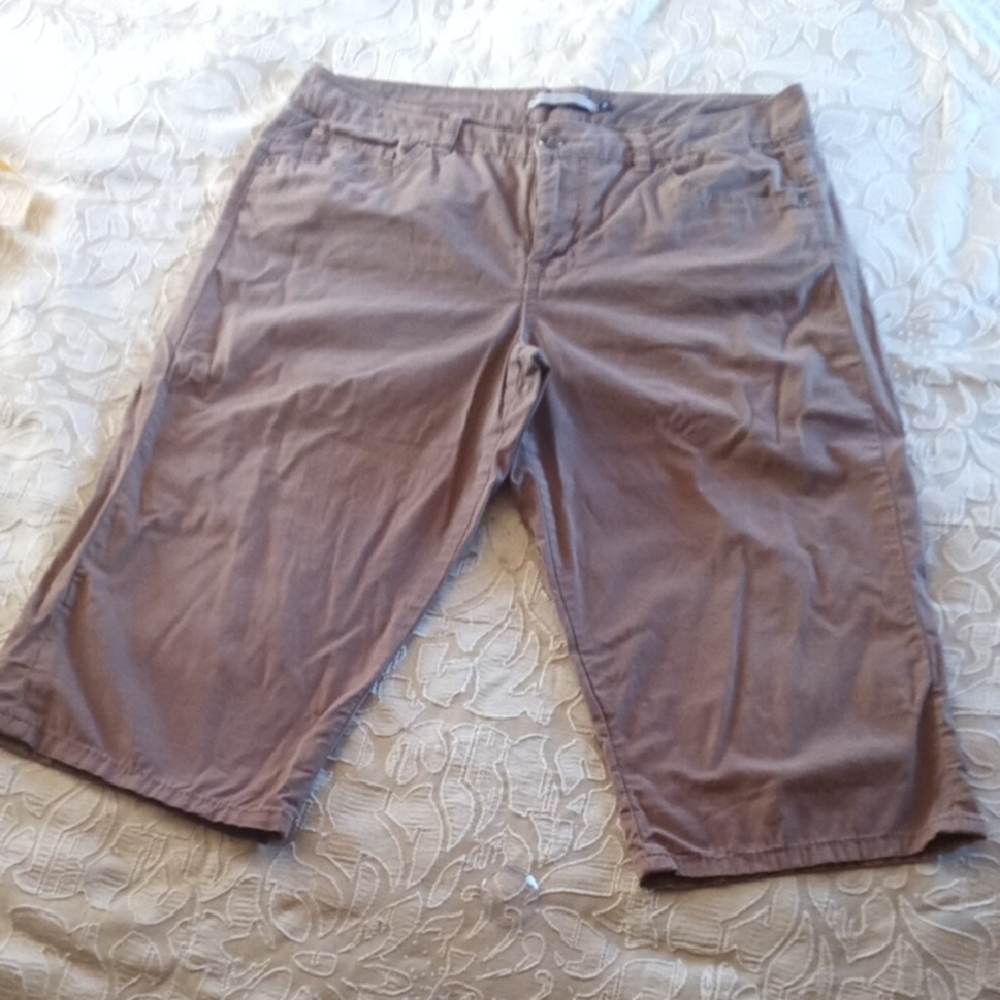 BandolinoBlu Brown Shorts